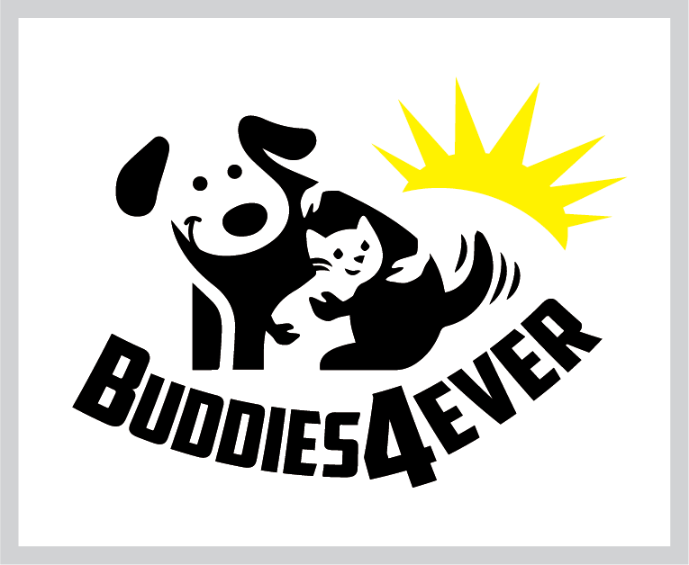 buddies 4 ever non profit logo design sponsor by tshirtprinting.co.za