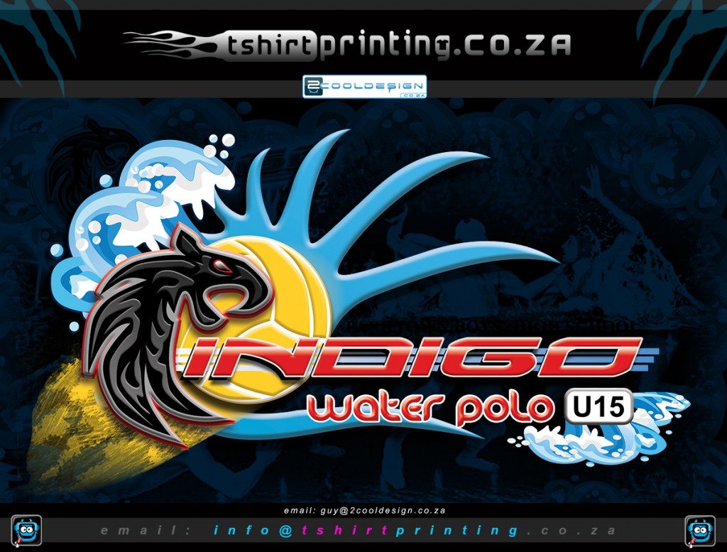 park-town-boys-water-polo-sports-team-logo-design,custom logo design, sports team logo, logo designer south africa